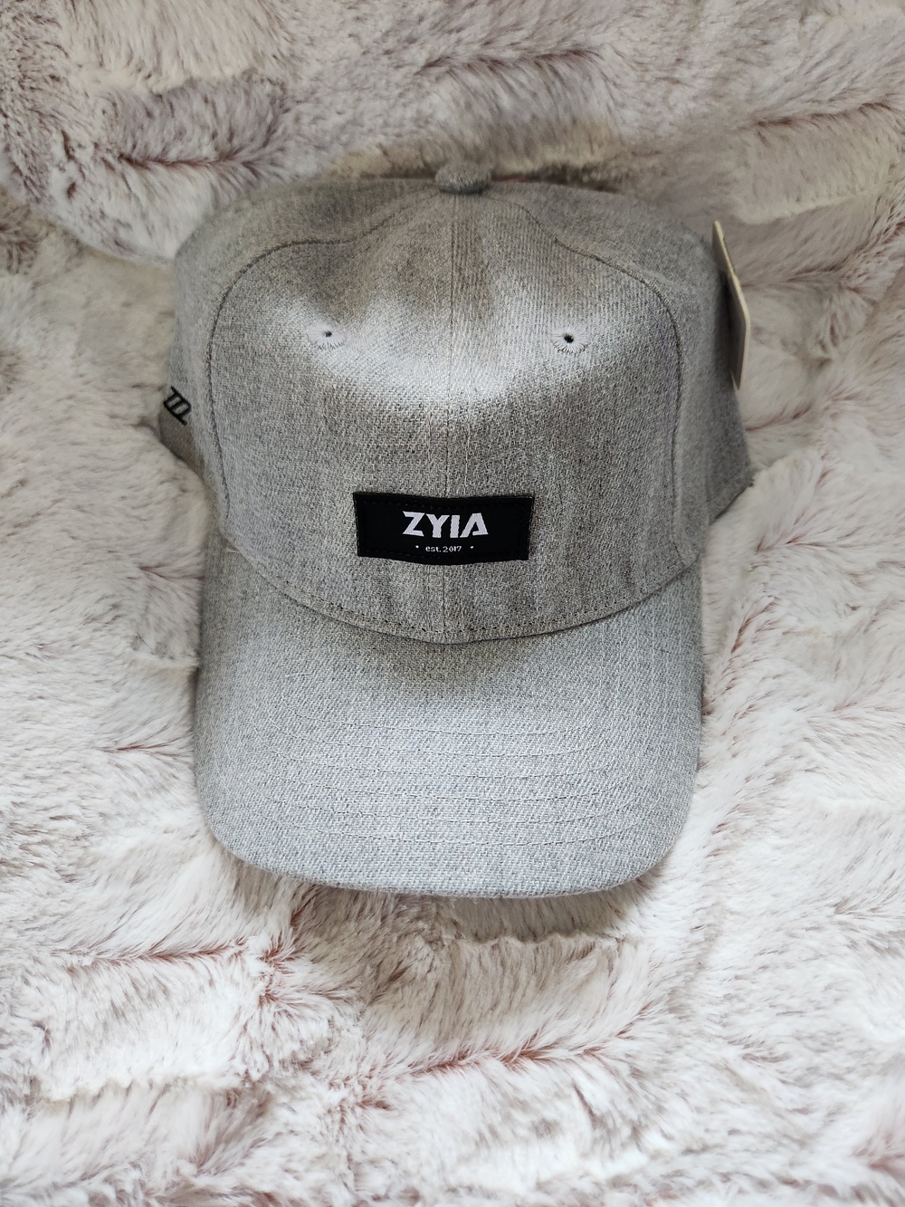 ZYIA Light Gray Men's Casual Baseball Hat